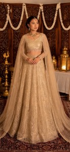 Golden Light Beaded Lehenga (Waist Jhumka lace) - BLGolLiBe015