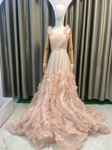 Light Peach Gown