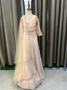 Light Peach Plain Lehenga with fabric Blouse