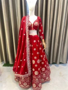 Red Velvet Panel Lehenga