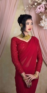 RED MONOCHROME SARI SET