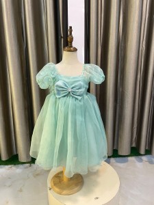 Nude Green Baby Organza Frock