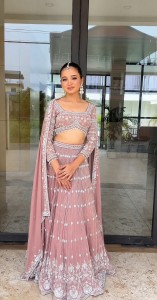 Onion Handwork Lehenga Silver Work